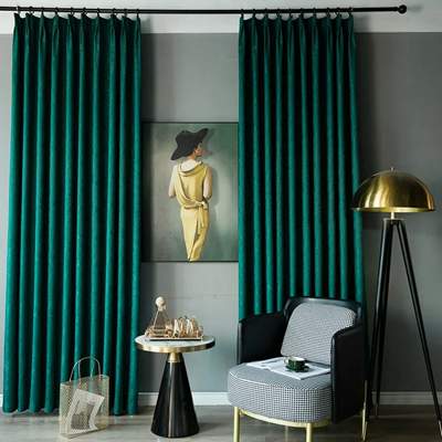 Living Room with curtain
