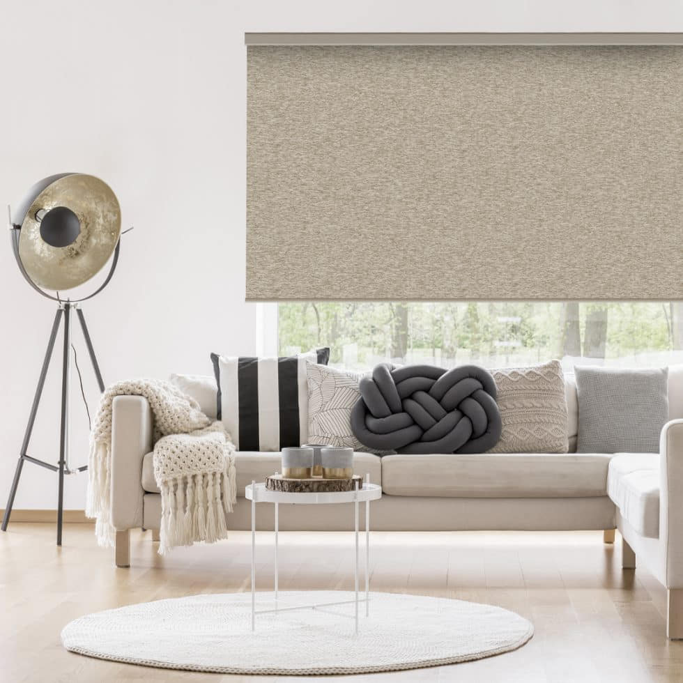 Roller blinds rolled up above the window frame