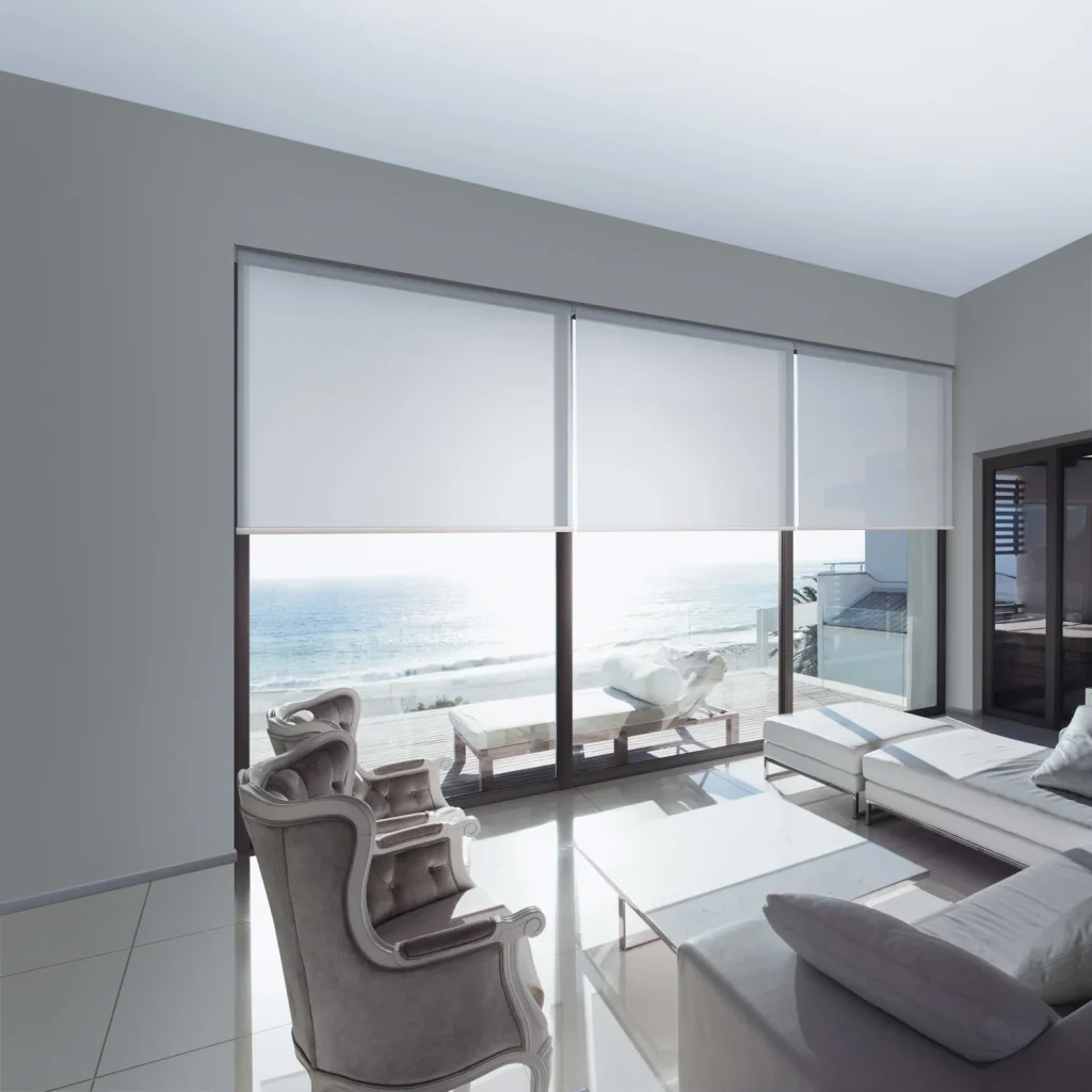 Sunscreen Roller Blinds
