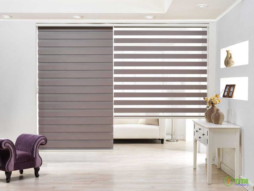 Zebra Blinds